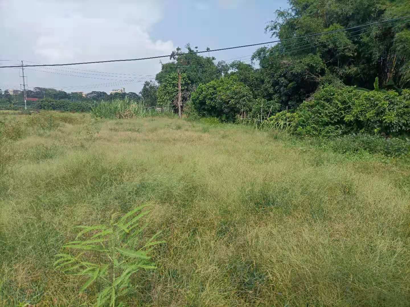 红本工业用地集体土地招租。2