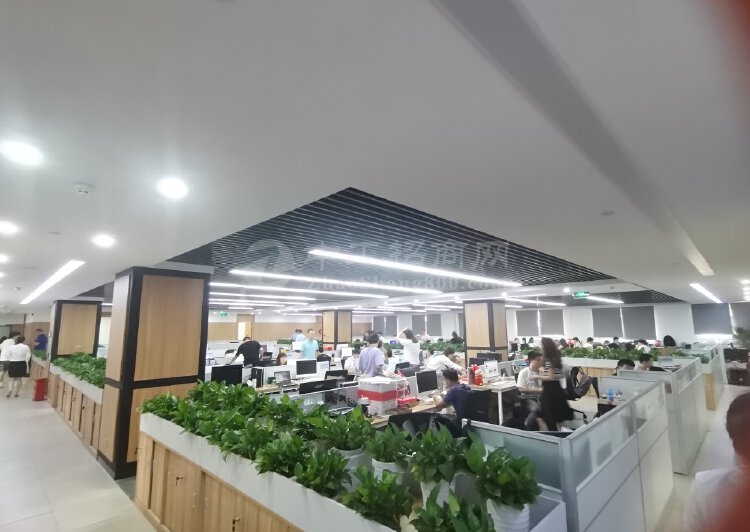 深圳市龙岗布吉木棉湾地铁站精装350平甲级写字楼出租价格便宜2