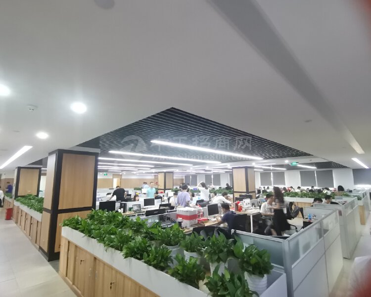 深圳市龙岗布吉木棉湾地铁站精装350平甲级写字楼出租价格便宜