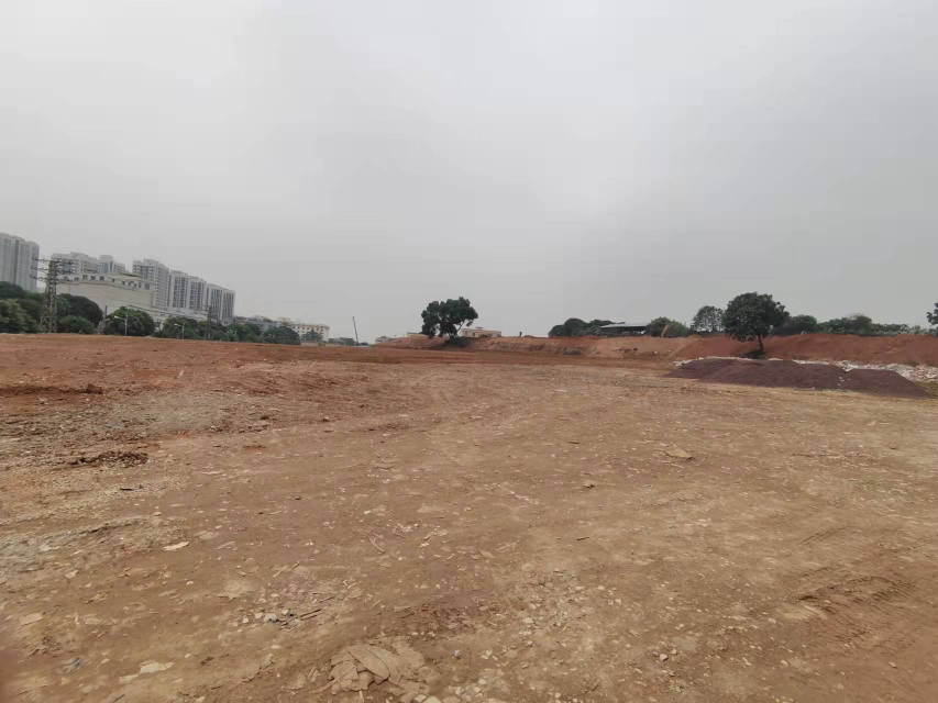 广州市番禺区石楼镇稀缺国有土地出售占地6亩