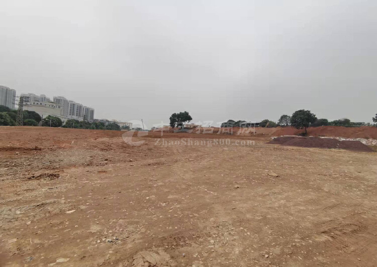 广州市番禺区石楼镇稀缺国有土地出售占地6亩1