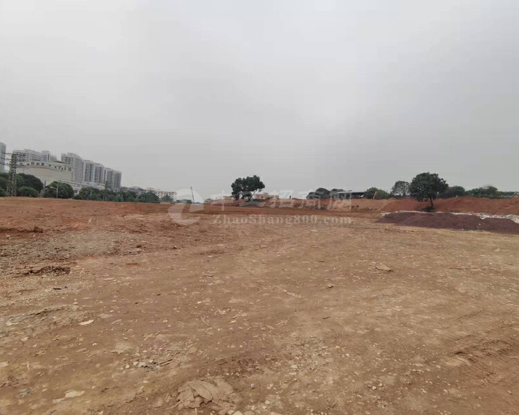 广州市番禺区石楼镇稀缺国有土地出售占地6亩