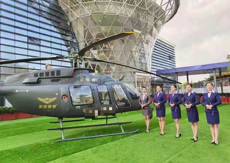松岗带直升机停机坪总裁会馆420平方可按揭出售50年独立红本1