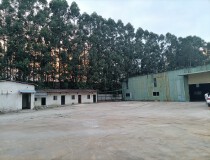 企石镇新出独院钢构厂房1000平方，周边3公里无居民。