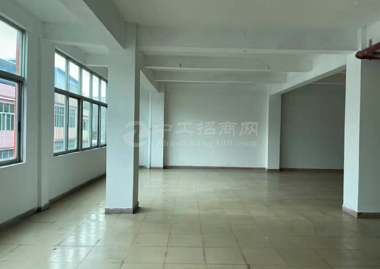 新塘镇新出办公写字楼丶电商，直播，仓储，摄影招租，每层5003