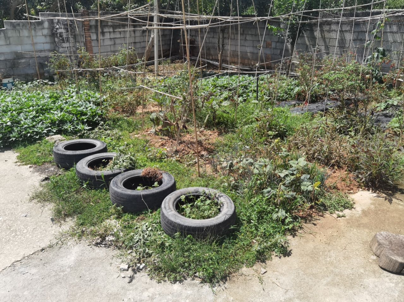 塘厦农庄果园出售休闲养生钓鱼聚餐接待谈业务生意都可以灵活多用6