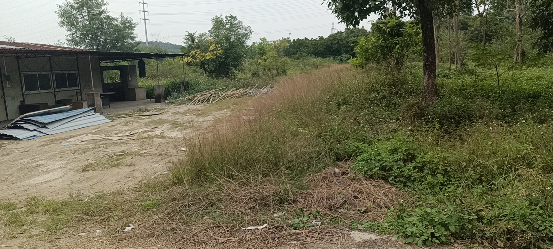 高明可建厂房10亩土地出售3