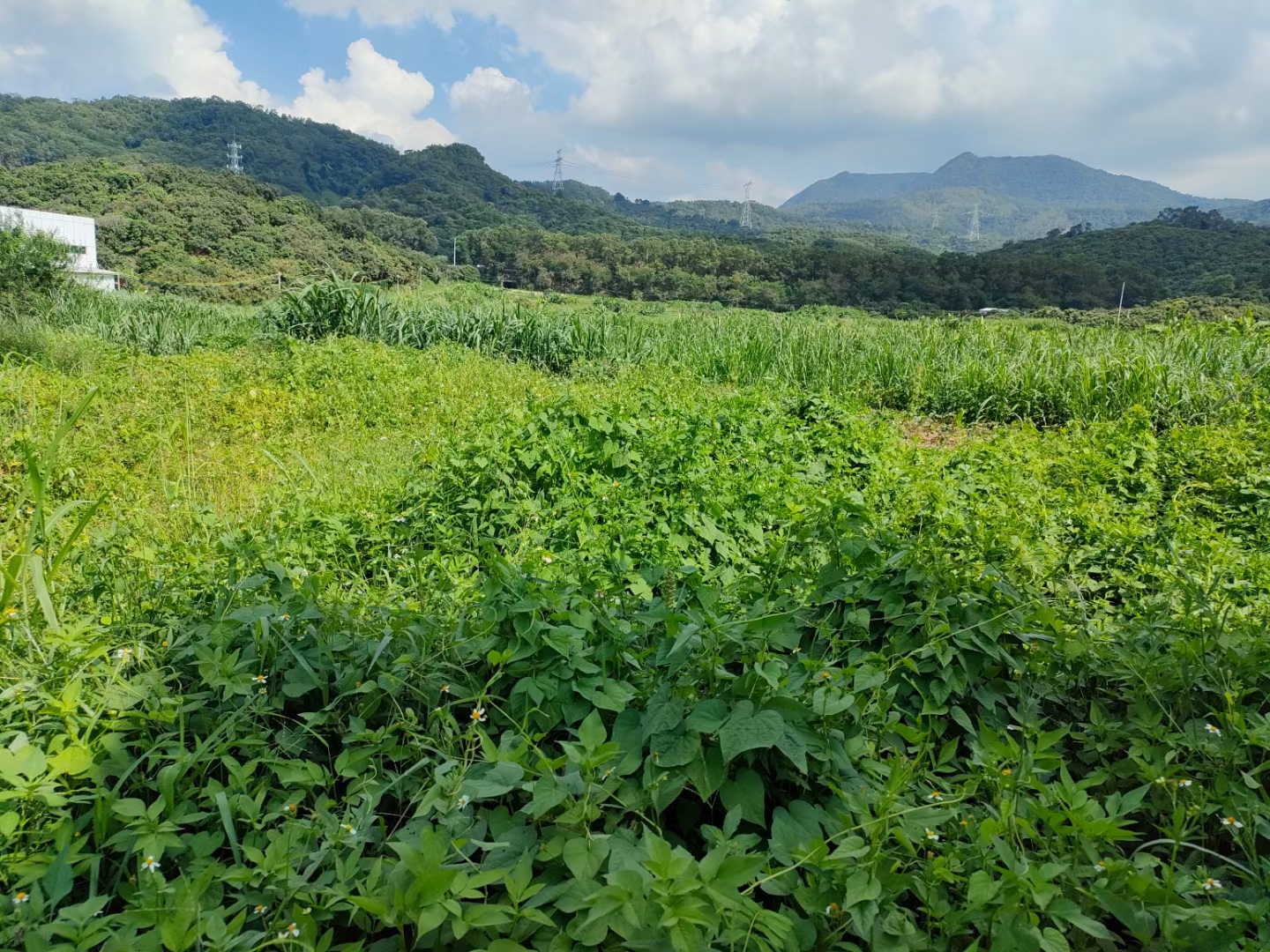 普通图片