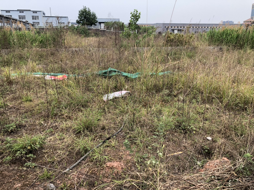 新都主城区住宅土地手续齐全可开发住宅2