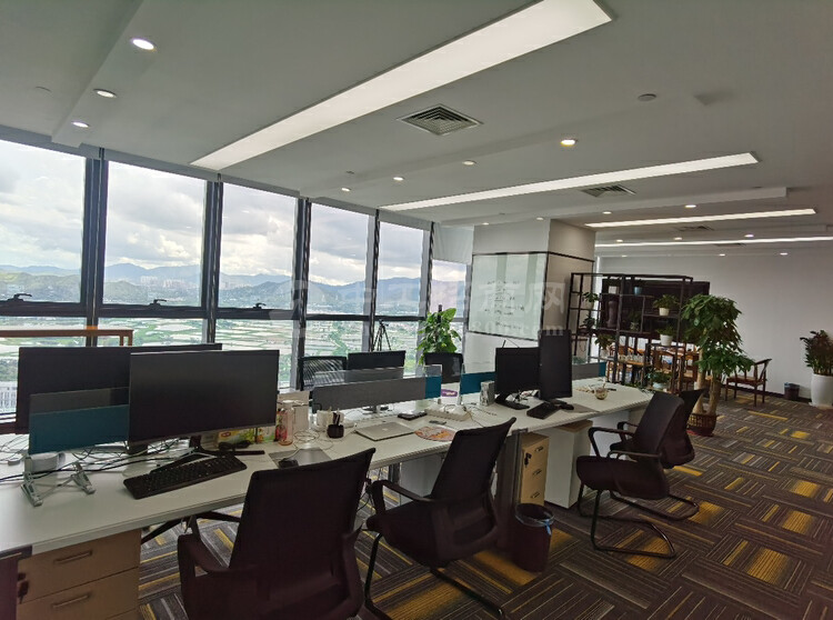 福田保税区一手开发商直租270平办公室豪华装修带落地窗