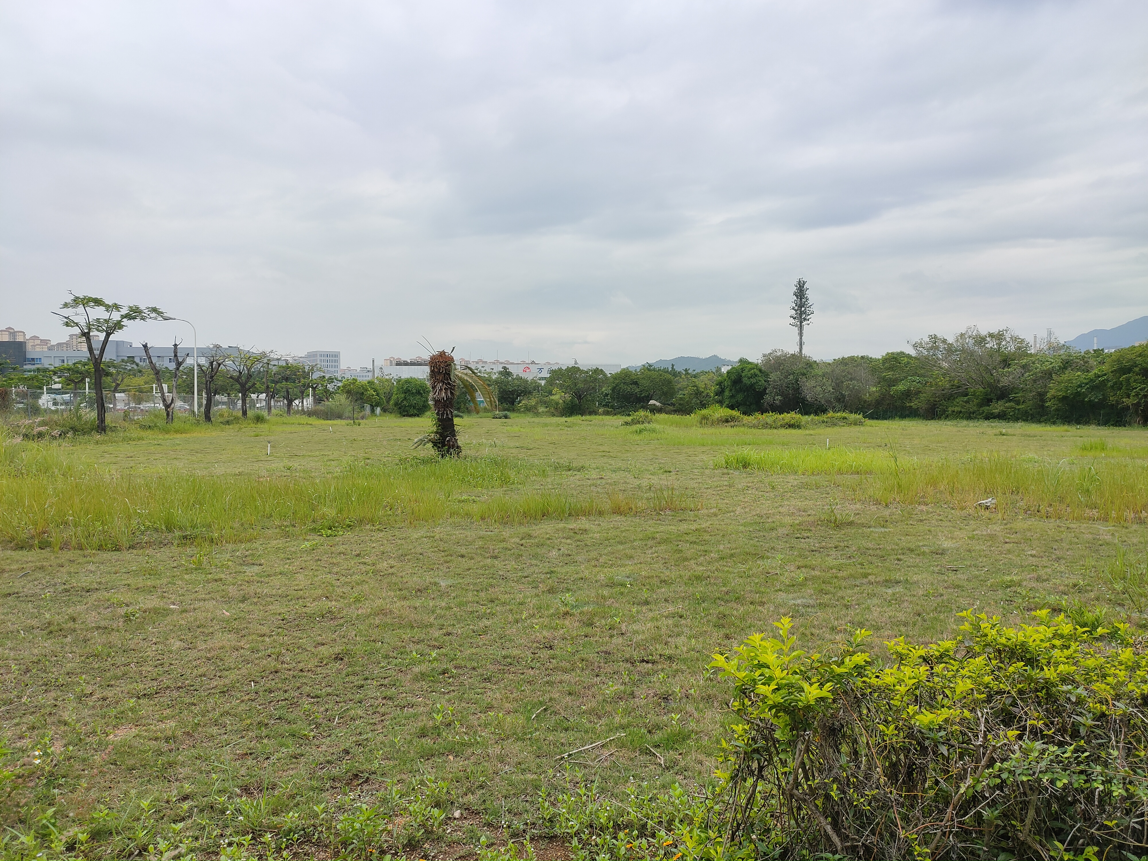 坪山大工业工业用地30000平方出租2