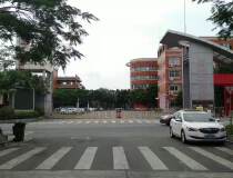 陈村独门独院单一层厂房，面积5000㎡带行车办公室，红本厂房