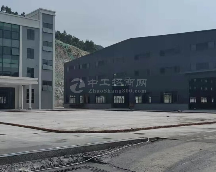 中山市东凤新出占地6.2亩建筑4250方单一层厂房出售带红本