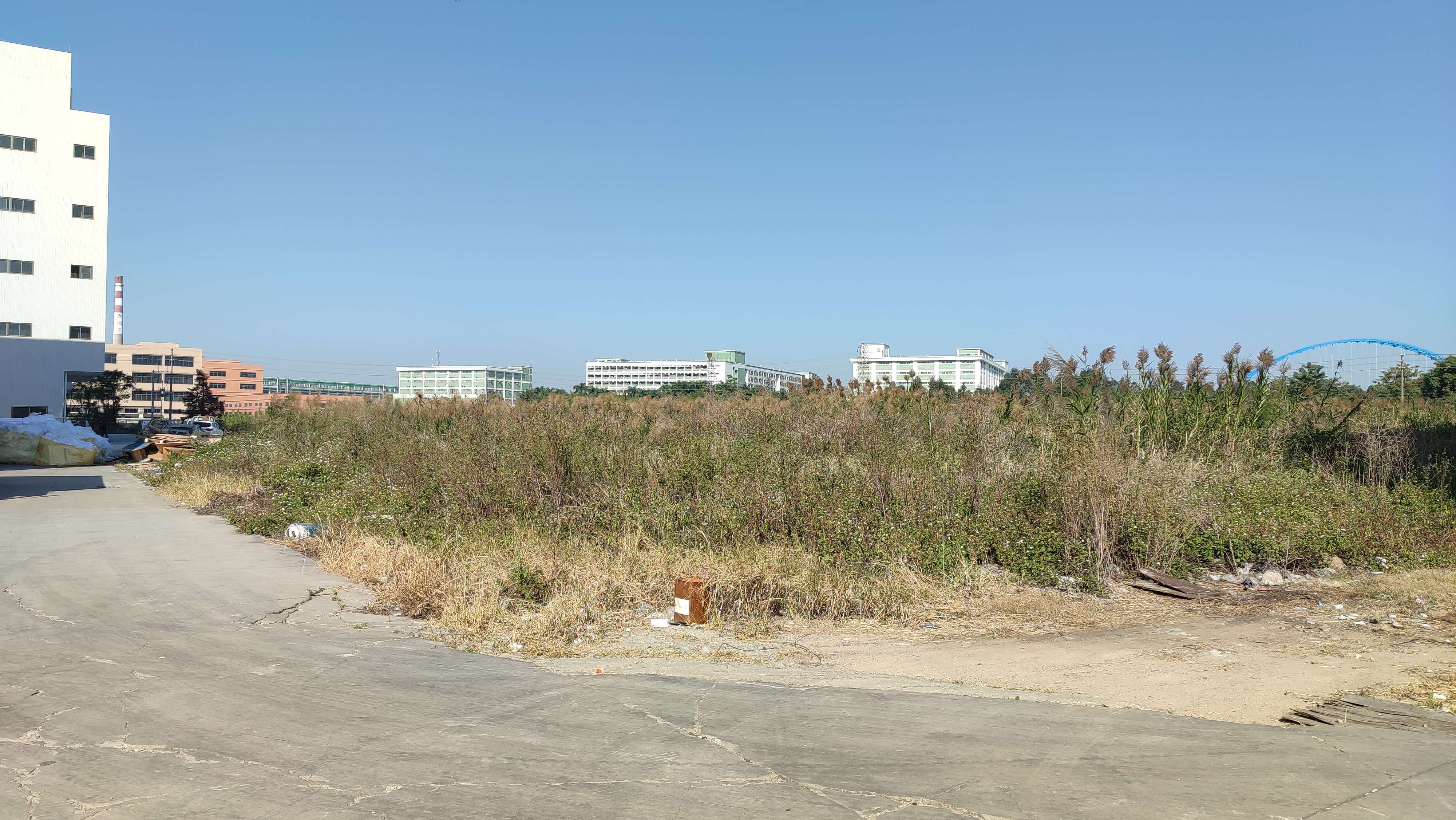 黄圃马安空地出租2