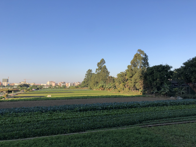 高埗环城路路口土地岀租4