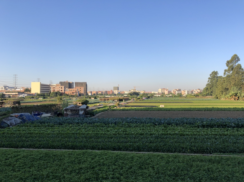 高埗环城路路口土地岀租1