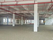 惠州大湾区新建红本厂房1-7层2台客梯2台3吨2台5吨货梯