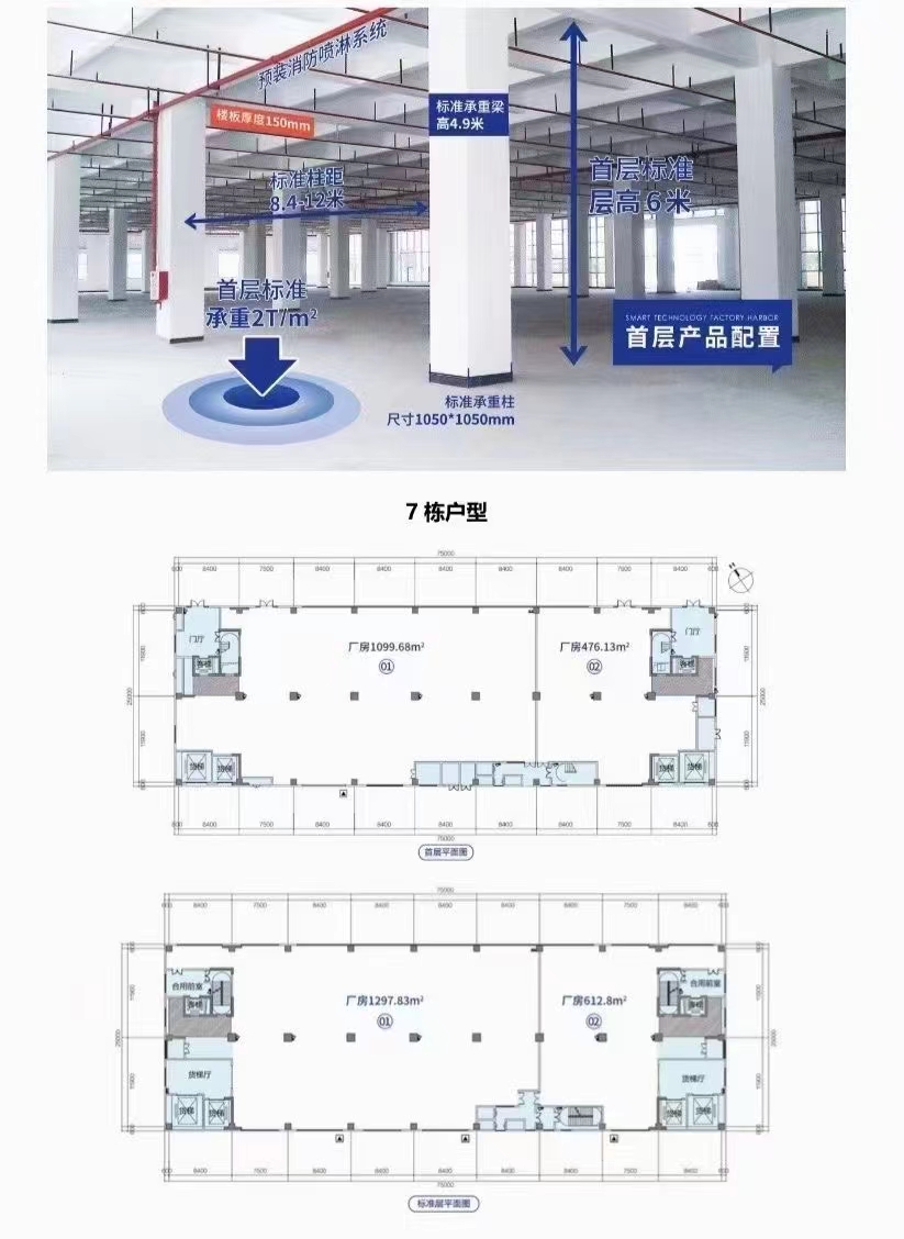 普通图片