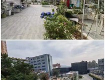深圳市龙岗区花园式厂房独门独院两层