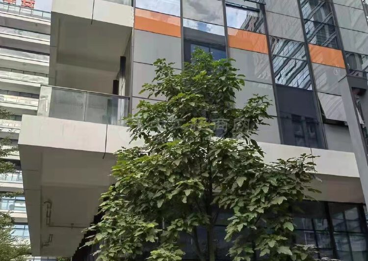深圳布吉独栋总部办公楼出租800平玻璃幕墙原房东实际面积出租5