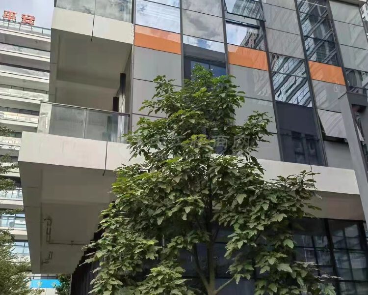 深圳布吉独栋总部办公楼出租800平玻璃幕墙原房东实际面积出租