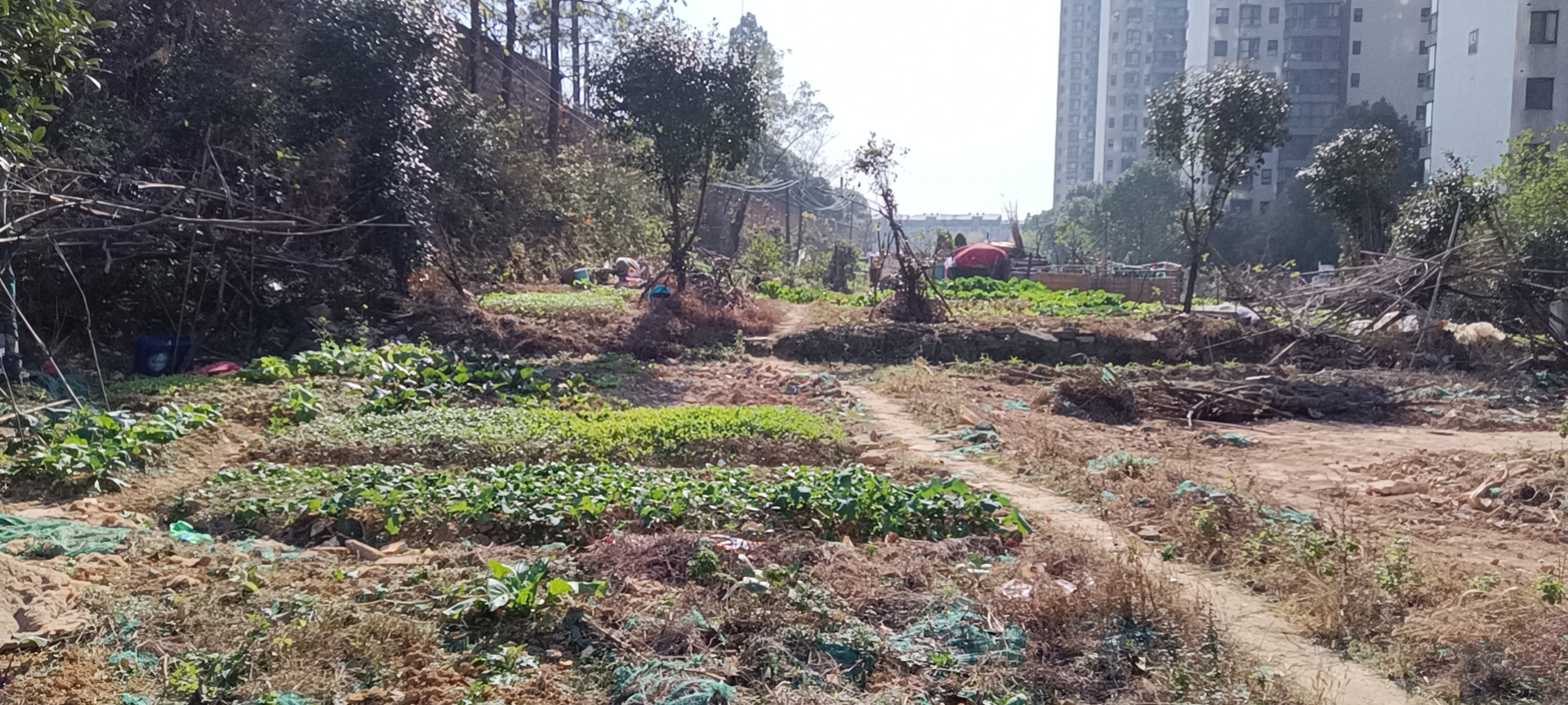 长沙市岳麓区含浦大道路边4亩方正已压实砖渣地出租可进拖头车2