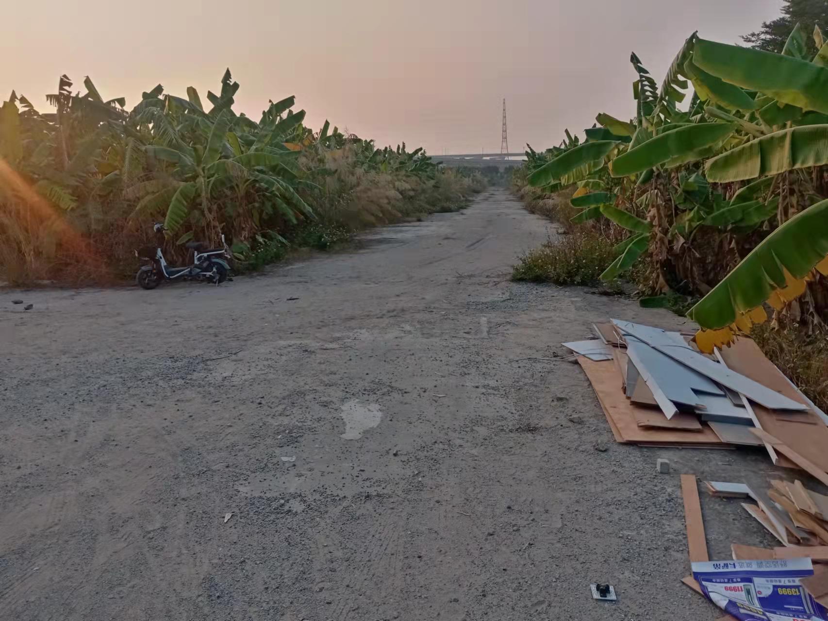 番禺大石街道，现有林地，交通便利，看上的联系我2