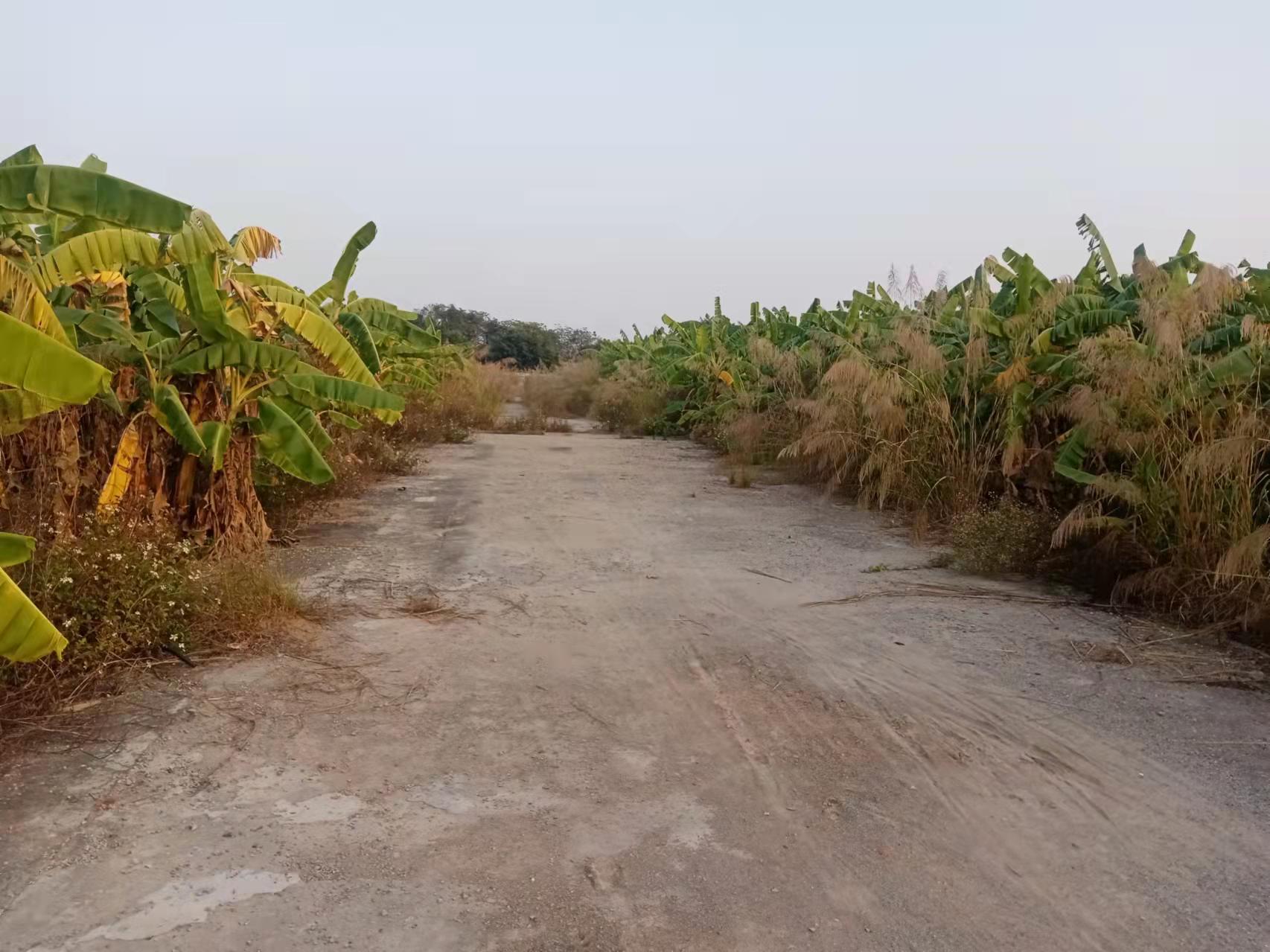 番禺大石街道，现有林地，交通便利，看上的联系我4