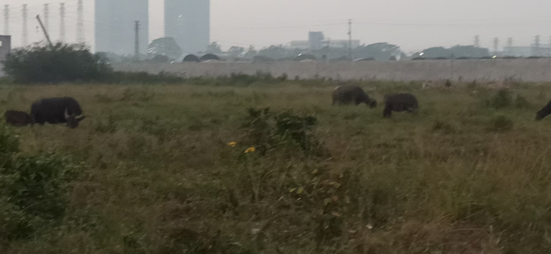 佛山市三水区白泥新出来带国有双证出售1