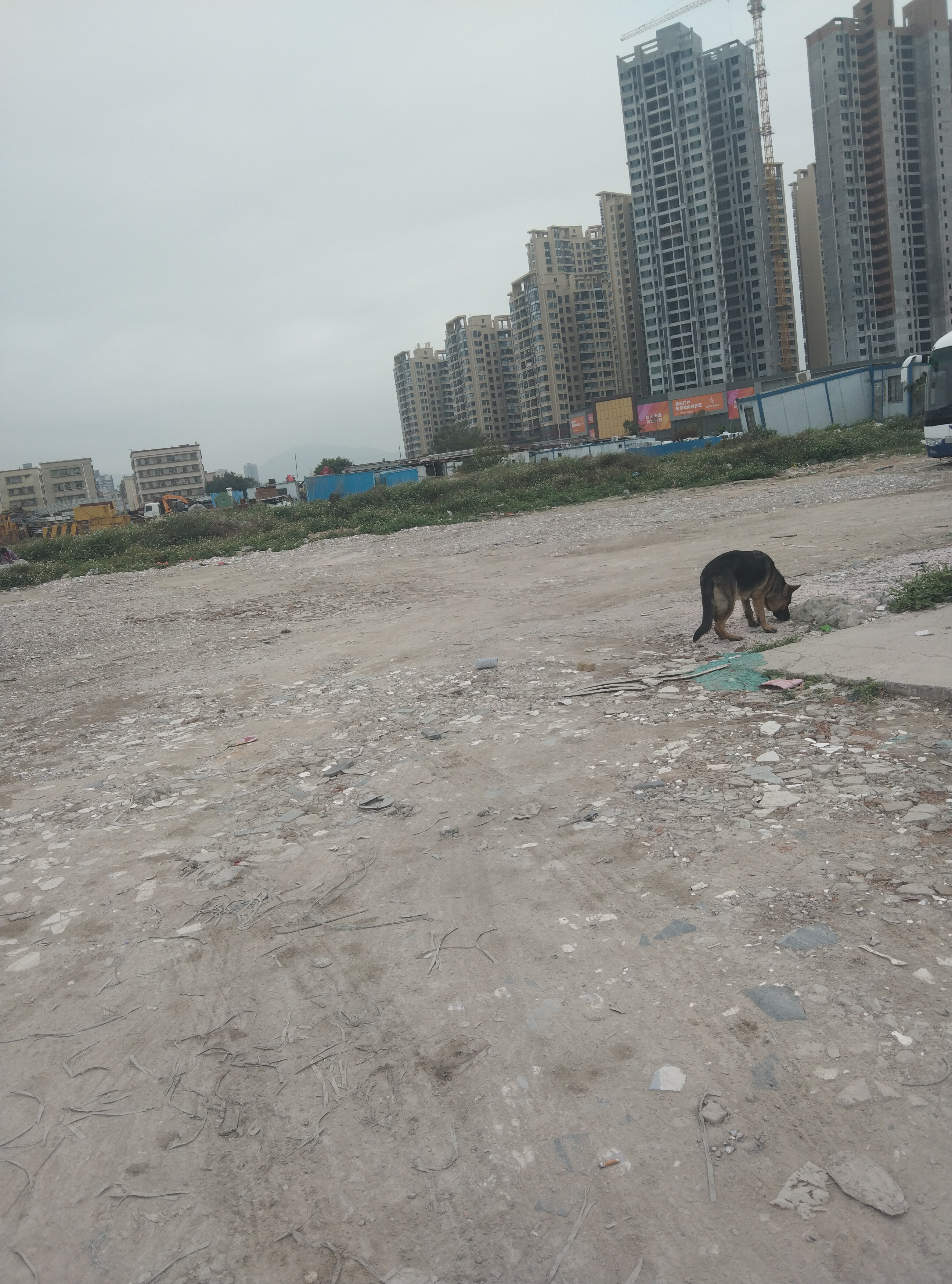 担洲工业用地出租手续齐全价格便宜水电到位大小可分行业不限2