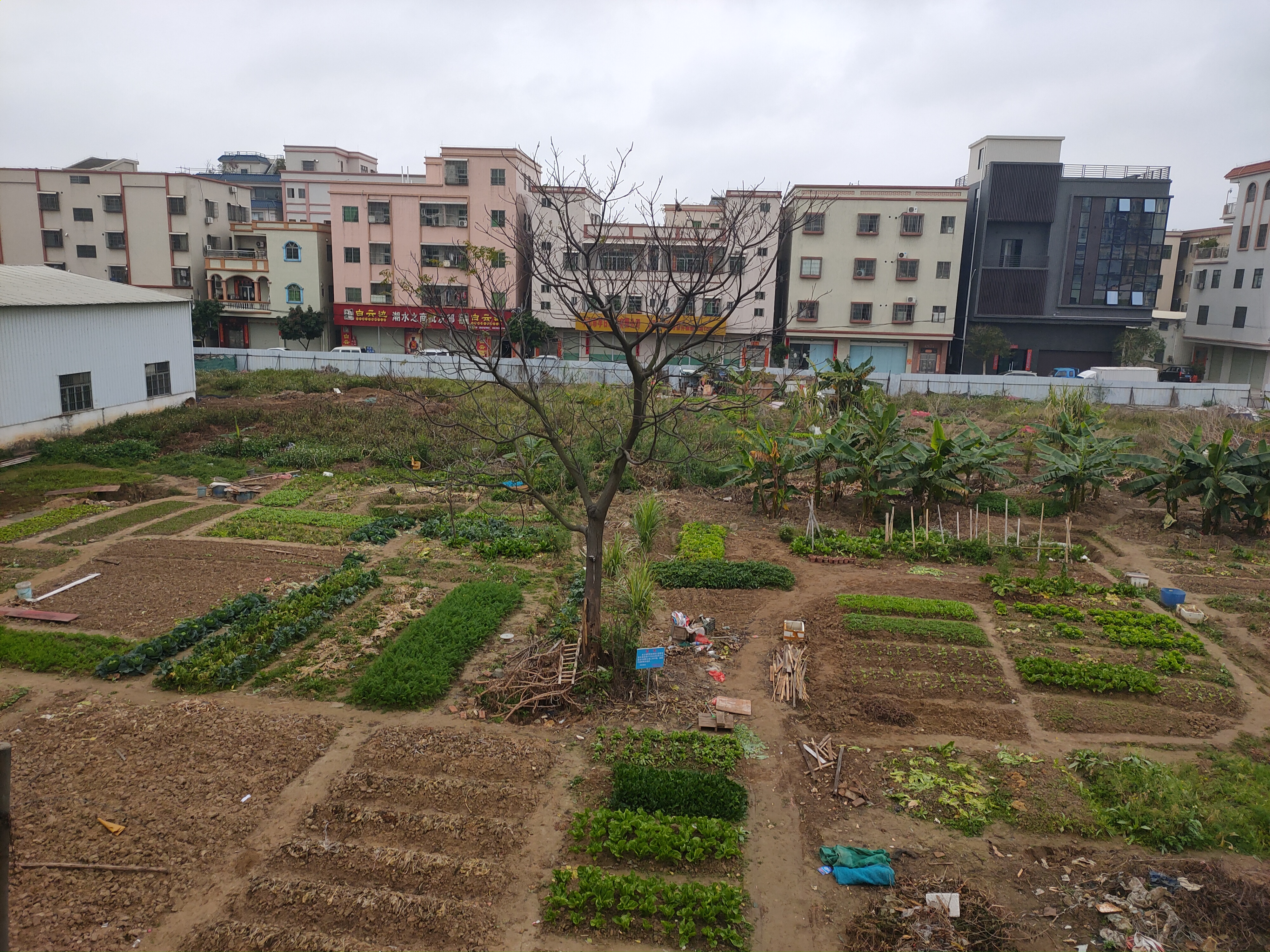 小榄东升高沙片区空地出租可以报建1