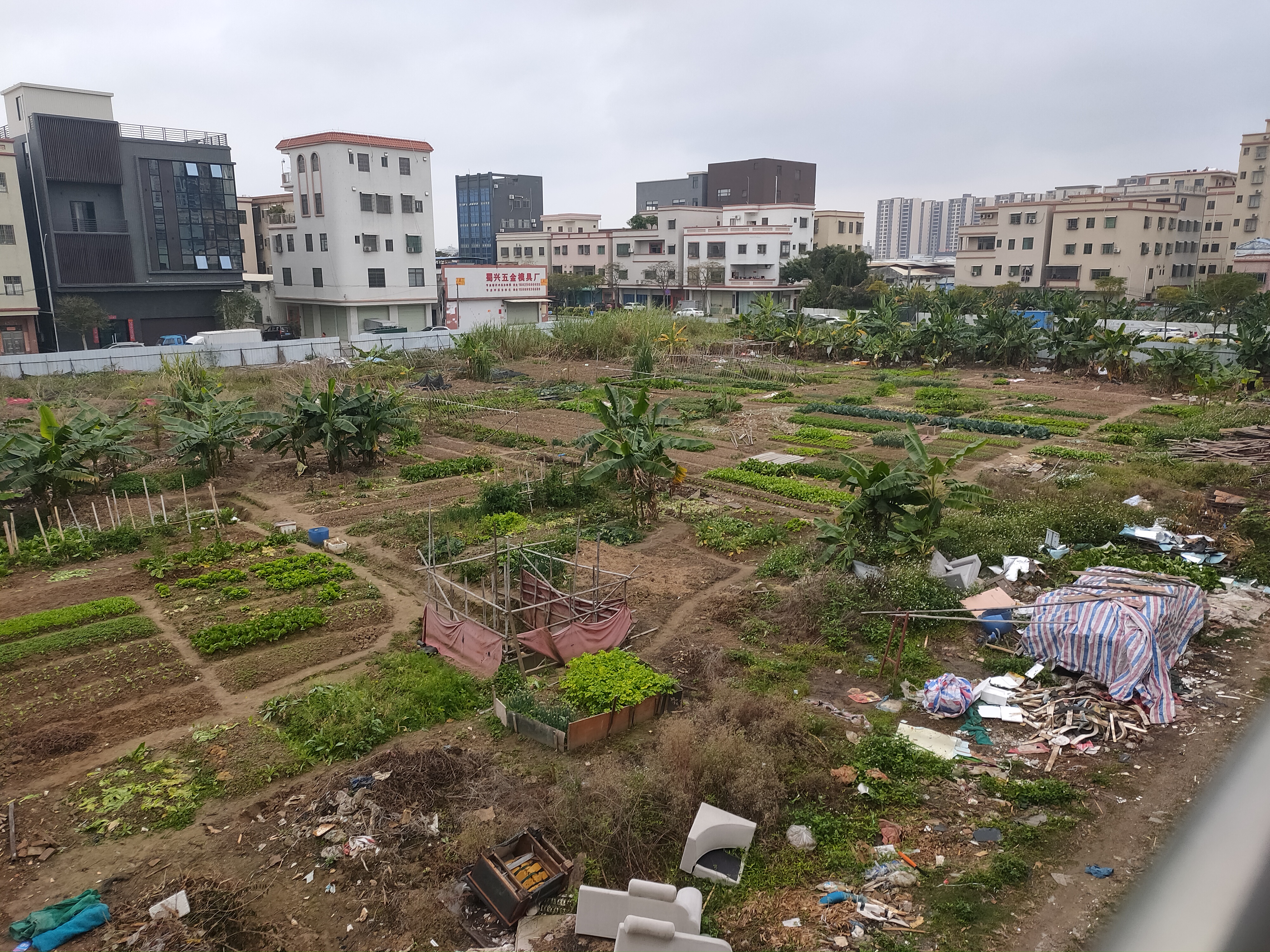 小榄东升高沙片区空地出租可以报建2