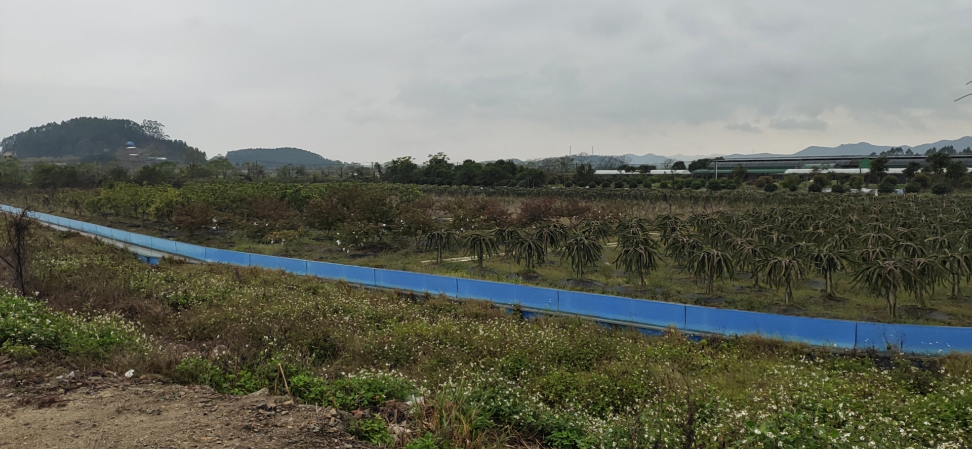 村集体土地证件齐全杨西大道边上可进大车一手土地年限长2