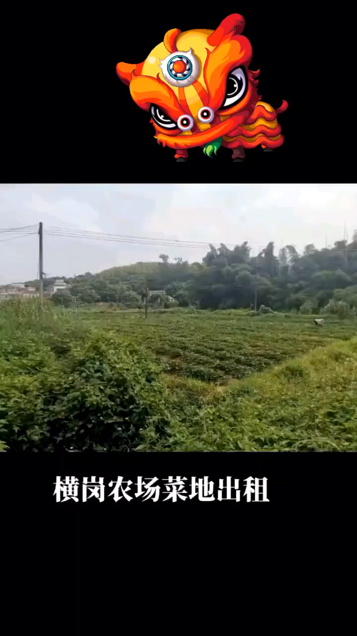 视频封面图