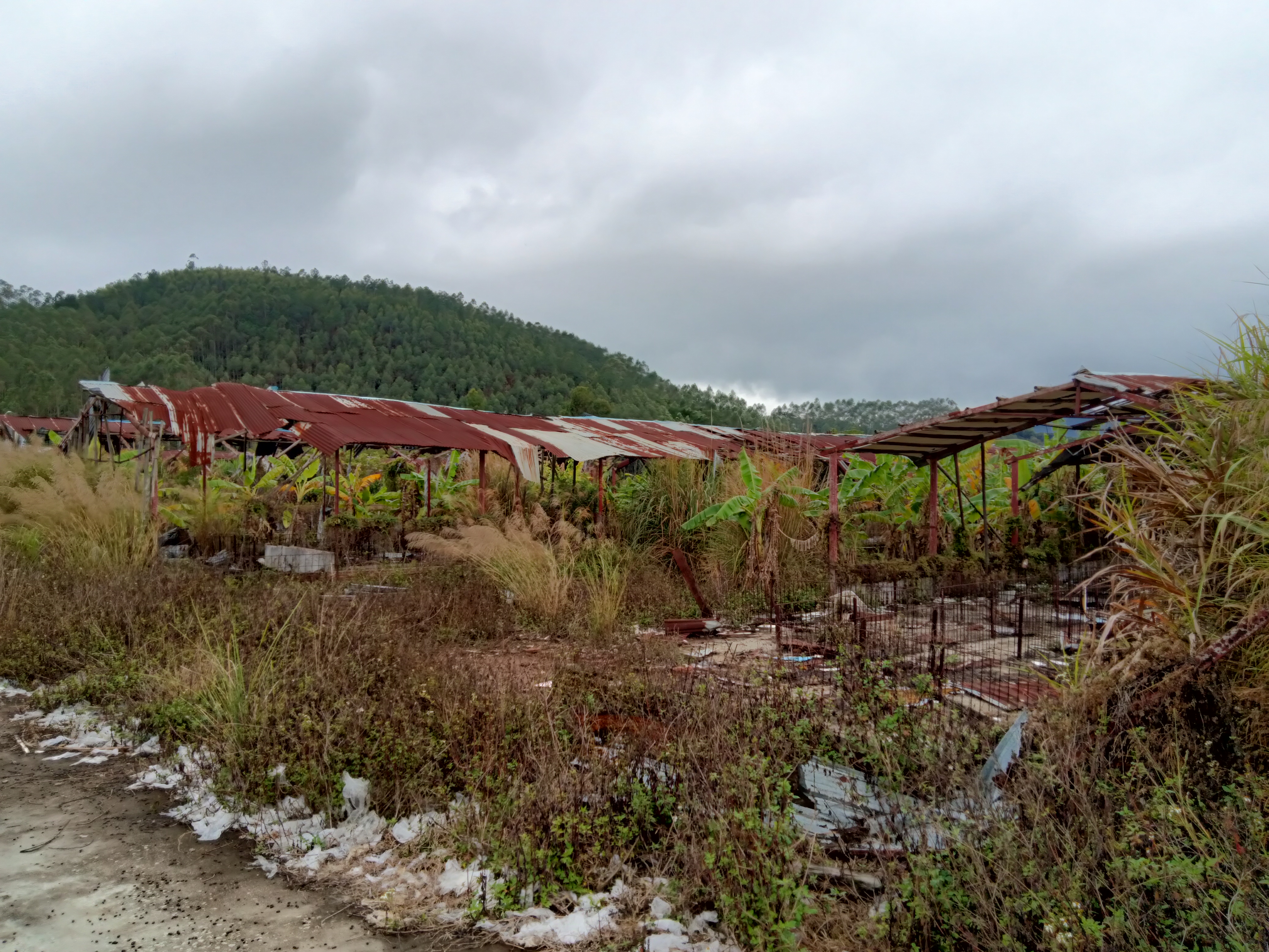 河源市原房东一手国有产权工业用地可定建地皮2