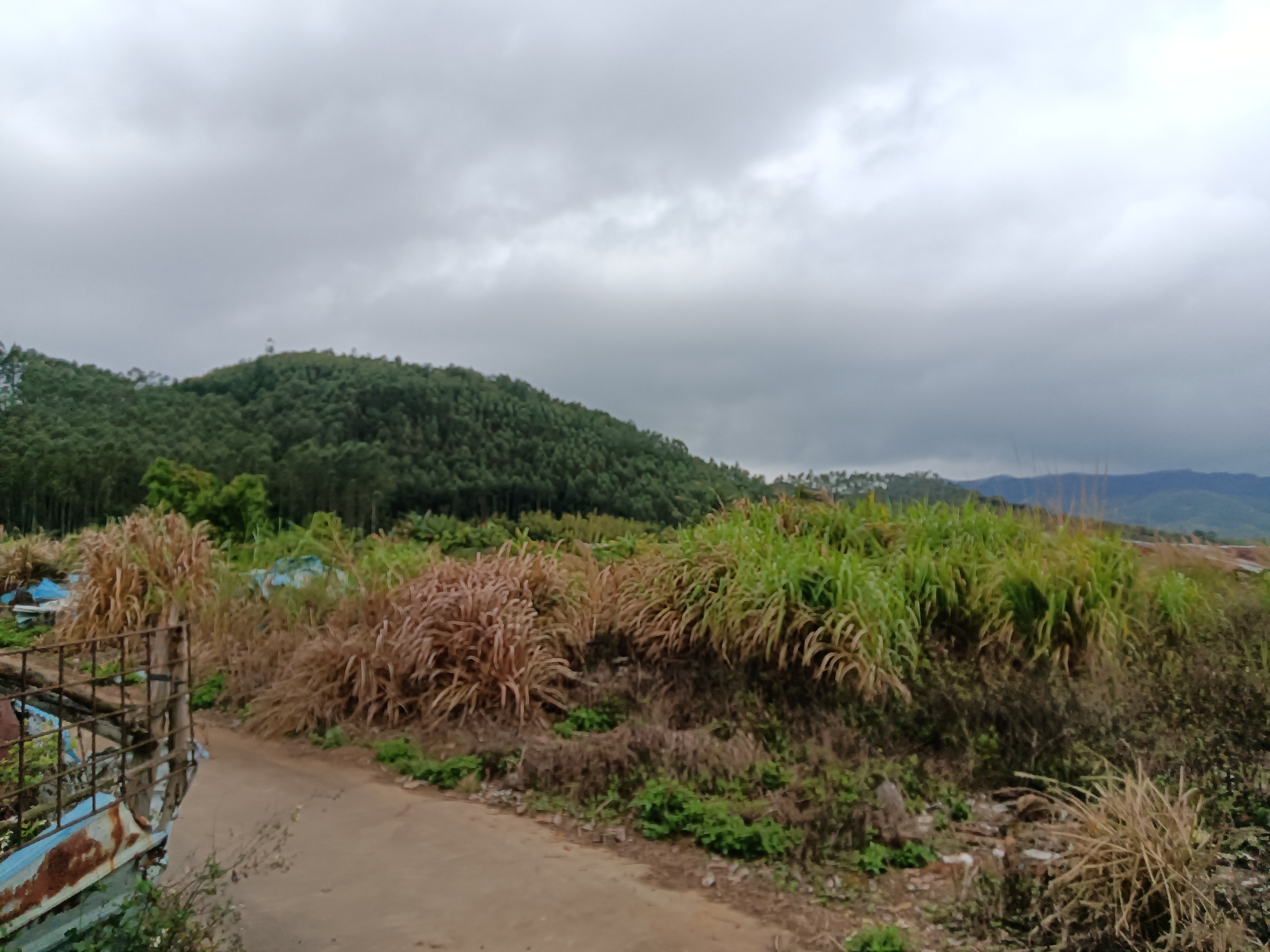 河源市原房东一手国有产权工业用地可定建地皮7