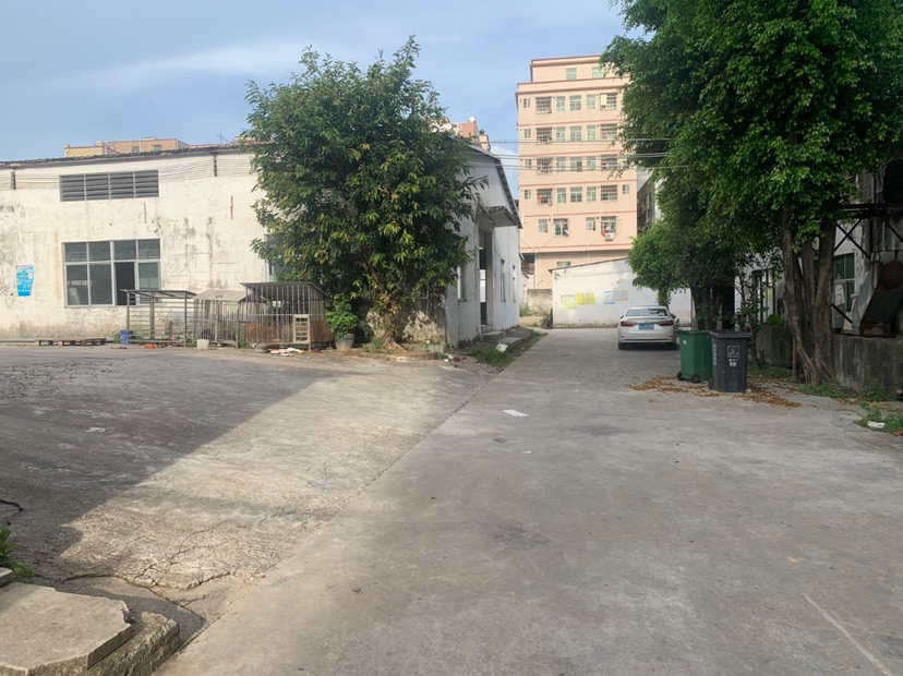 惠州市惠阳区镇隆镇长龙村原房东550平出租