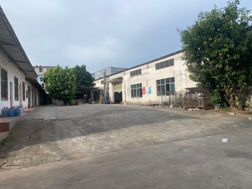 惠州市惠阳区镇隆镇长龙村原房东550平出租