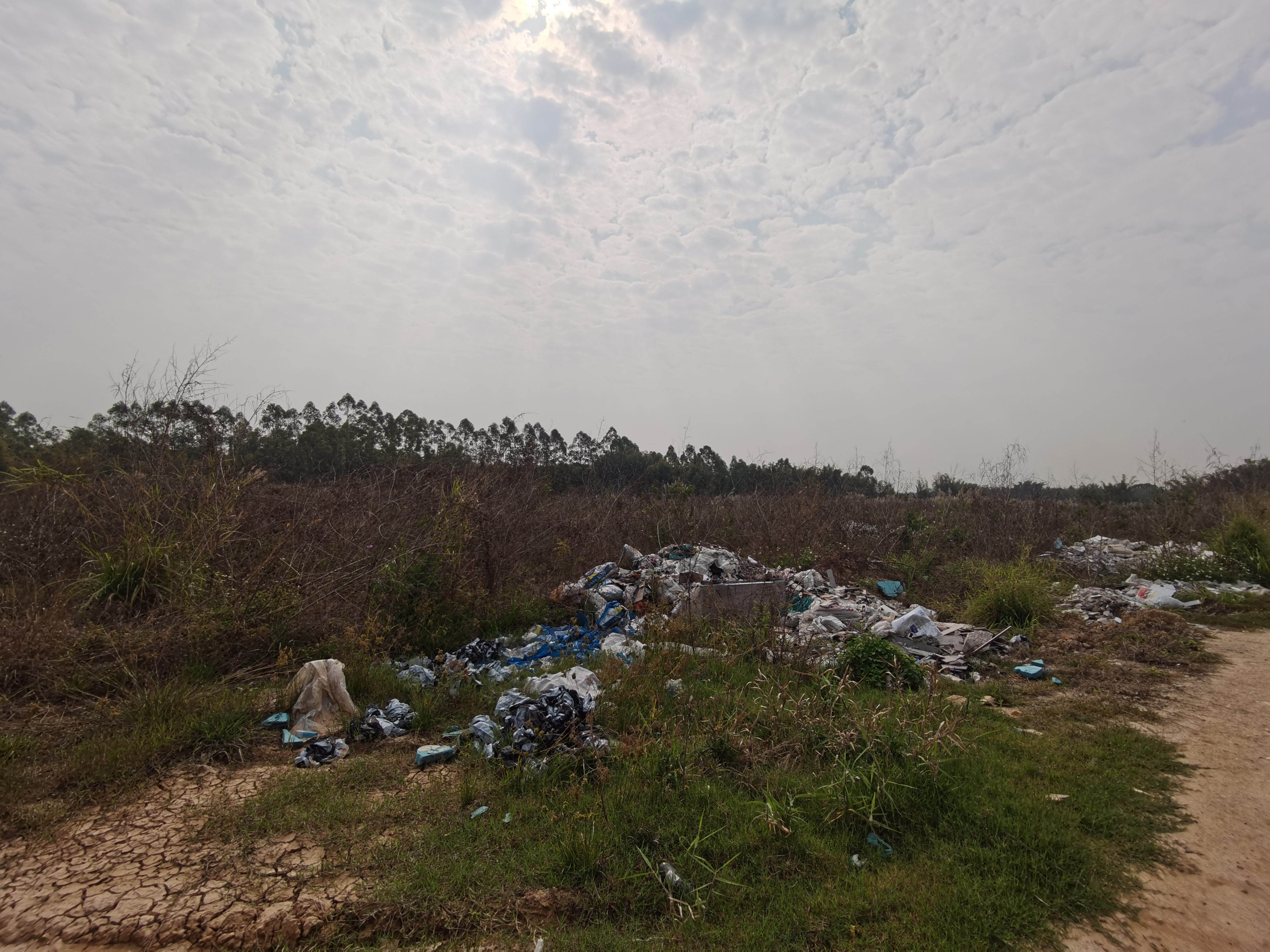 三栋演达大道边空地56亩低价出售1