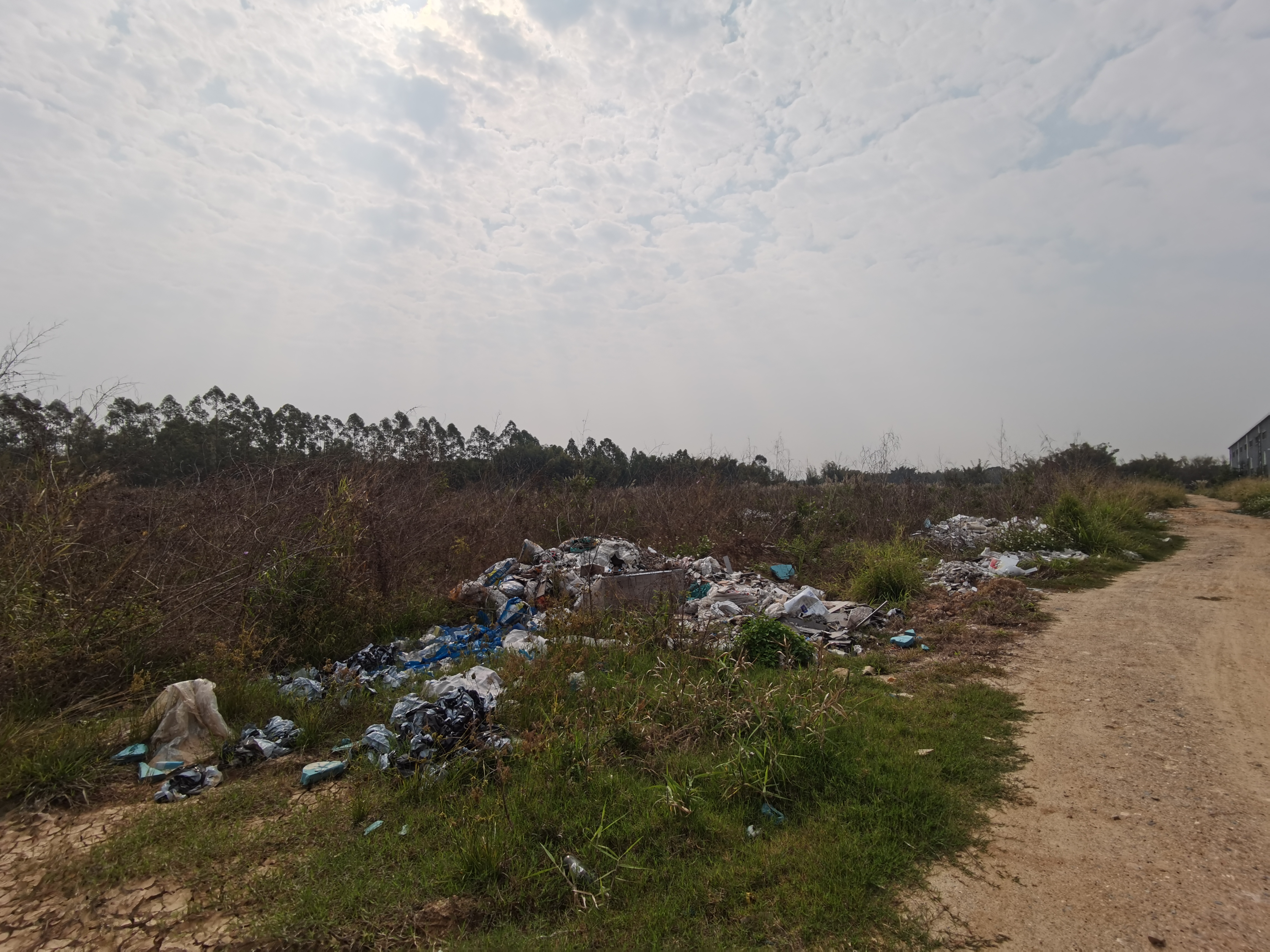 三栋演达大道边空地56亩低价出售6