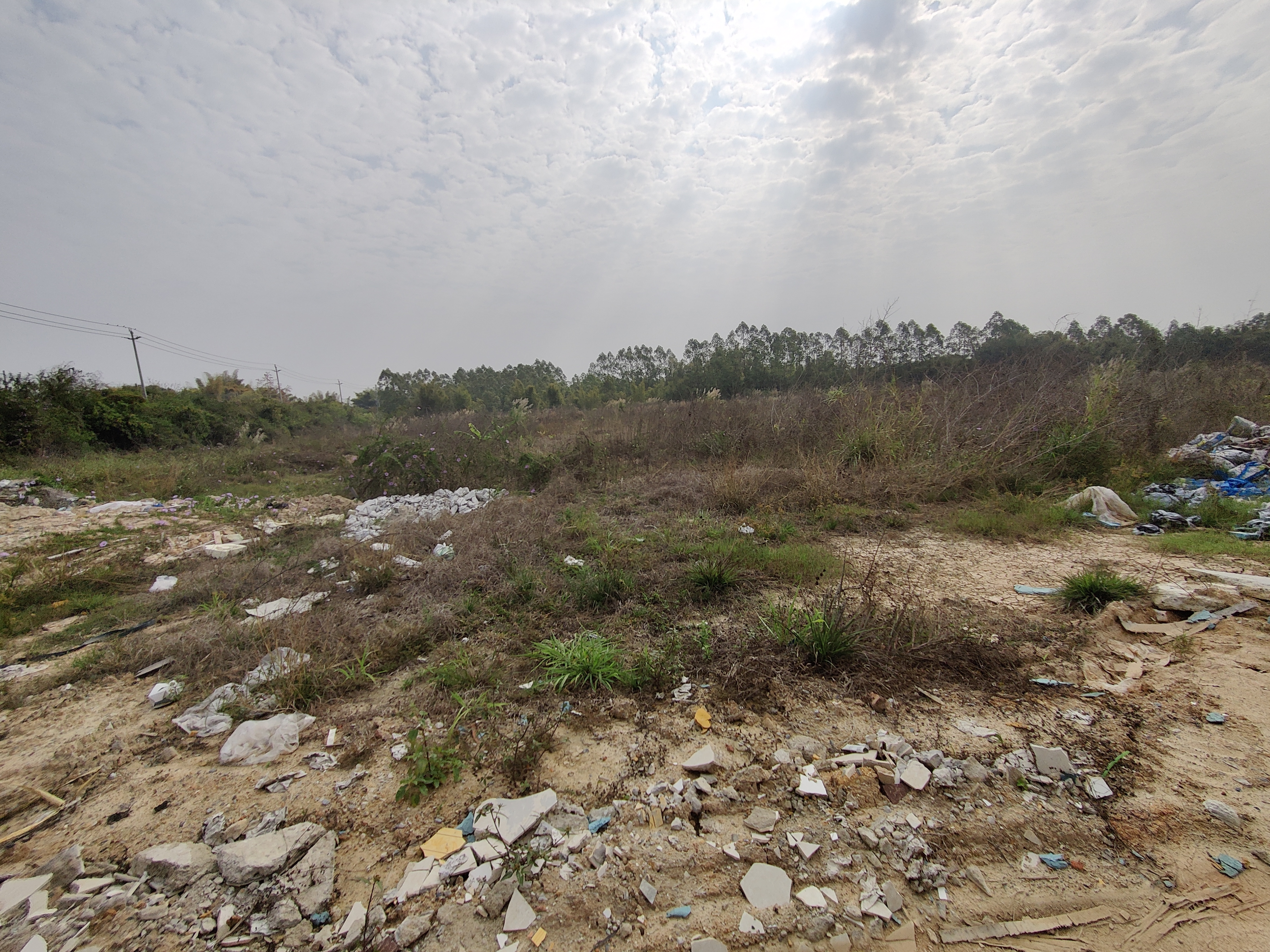 惠阳区平潭镇土地出租50000平，可做工业1