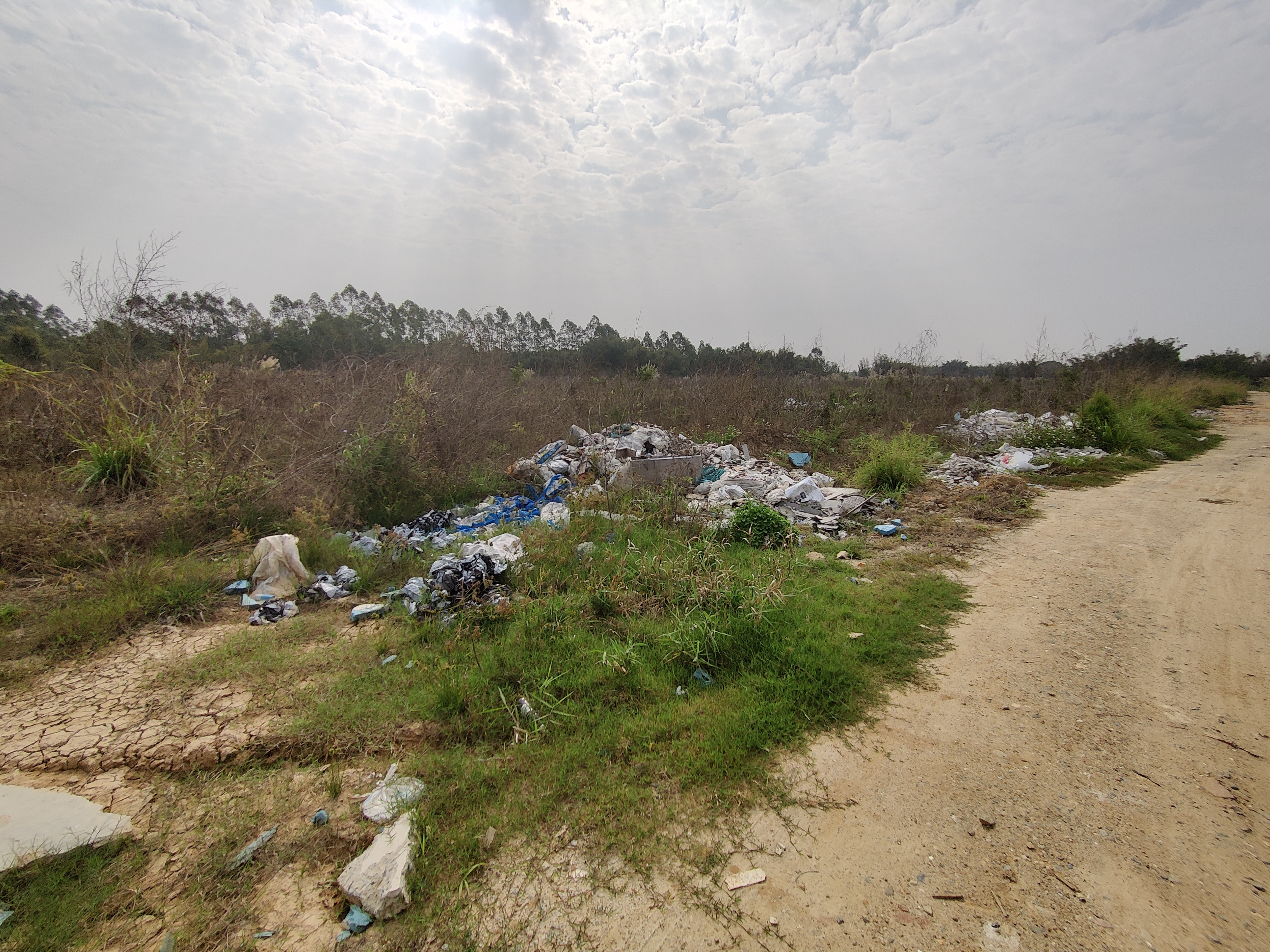 惠阳区平潭镇土地出租50000平，可做工业2