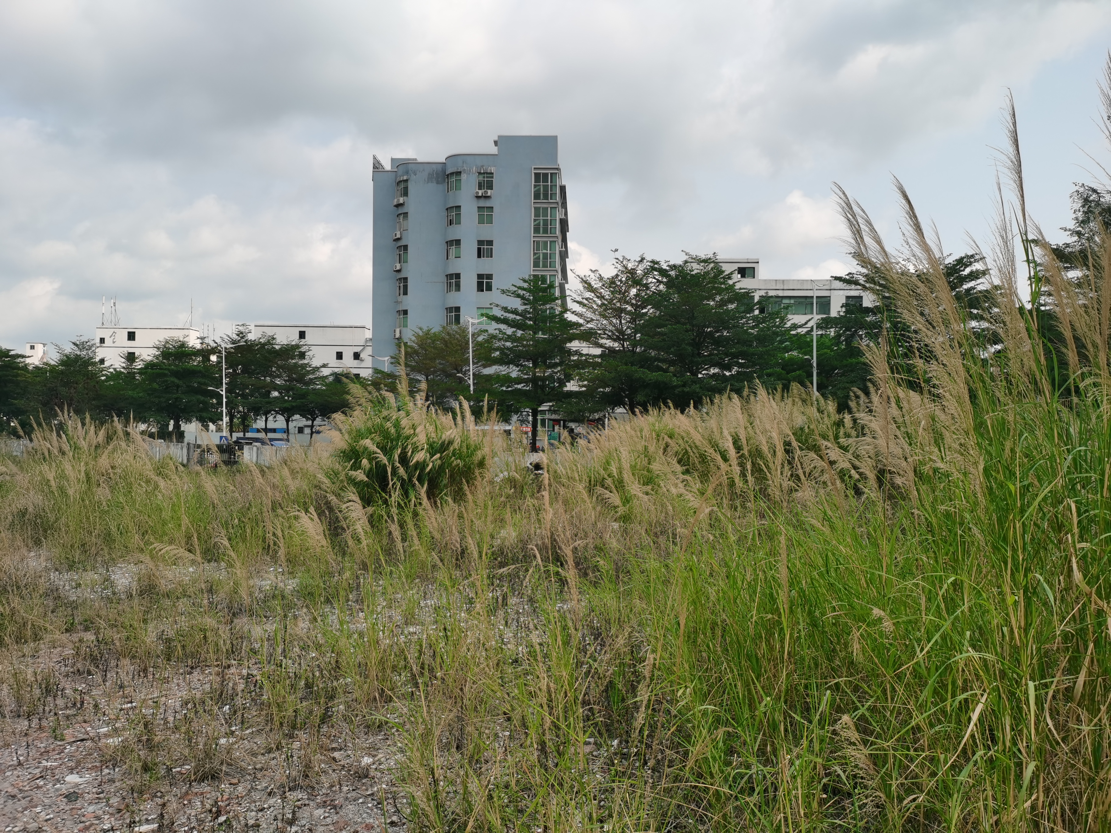 龙华大浪沈海高速，独院空地50亩合同12年，有红本国有土地证3