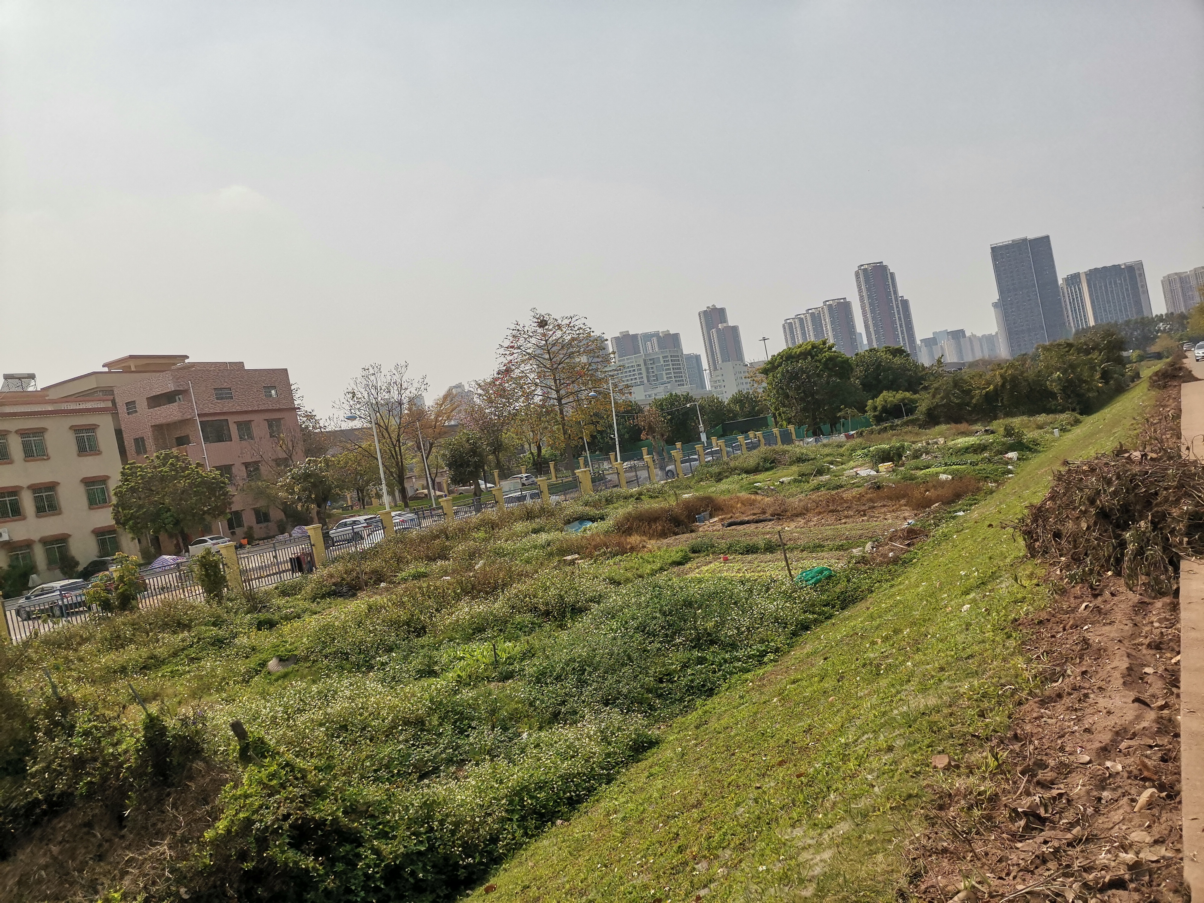 桂城百亩空地平价出租，仅需2万/年/亩，来秒！手慢无1