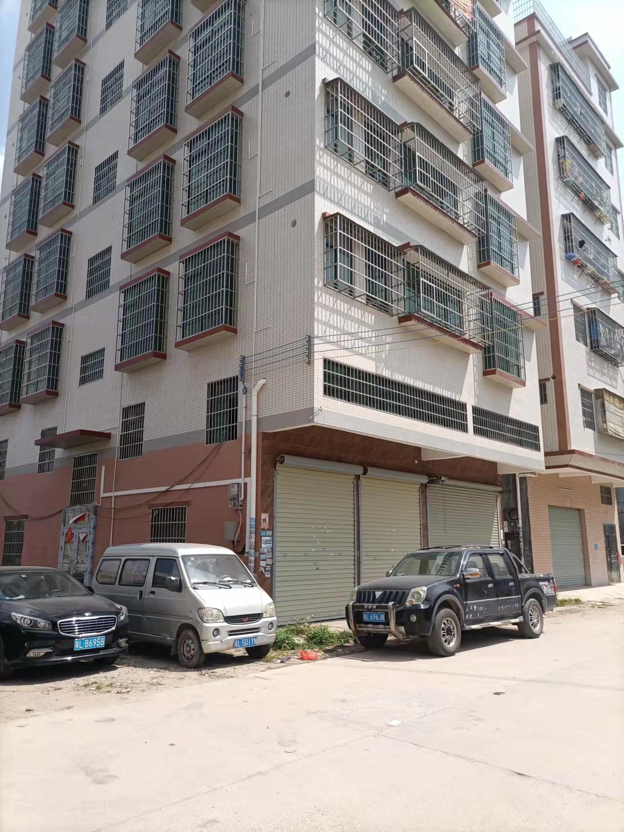 惠阳镇隆占地200平独栋民宅出售