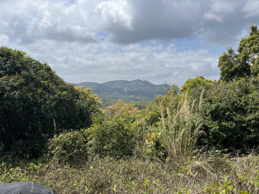 深圳坪山200亩农业综合用地70年合同适合旅游开发文化创意等7