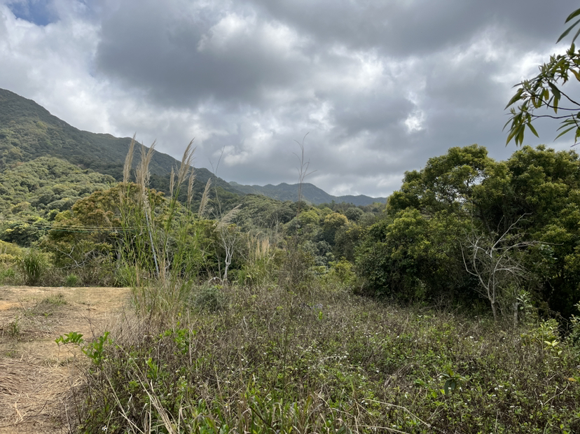 深圳坪山200亩农业综合用地70年合同适合旅游开发文化创意等9