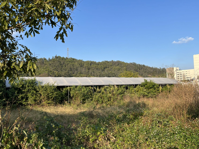 花都区花东镇山前旅游大道3