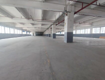 古镇曹三工业区标准厂房一楼2500平方