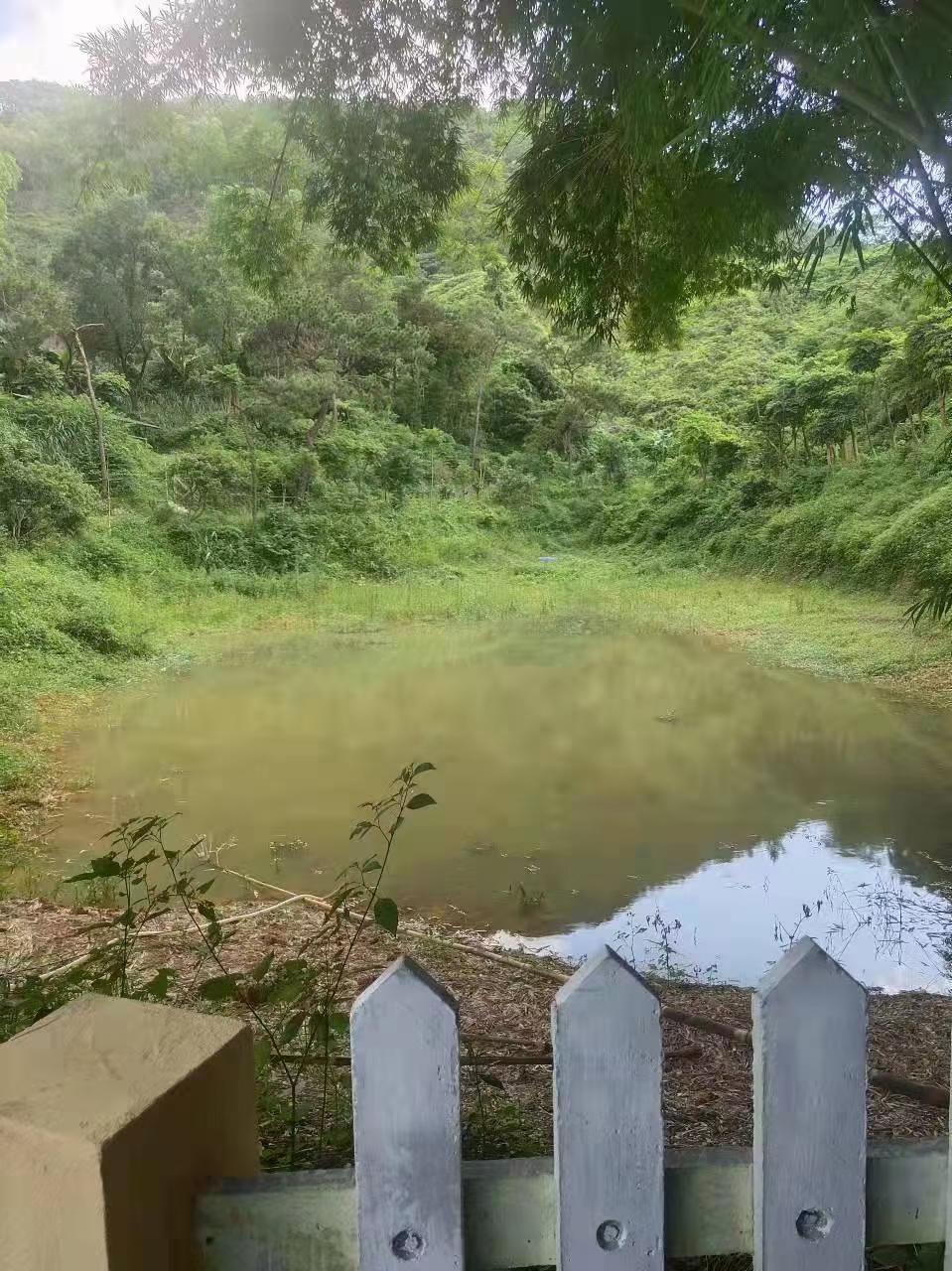 小榄镇有农庄+空地1800平方招租6